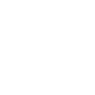 Professional Chimney Flue Installation in Dunedin, Florida