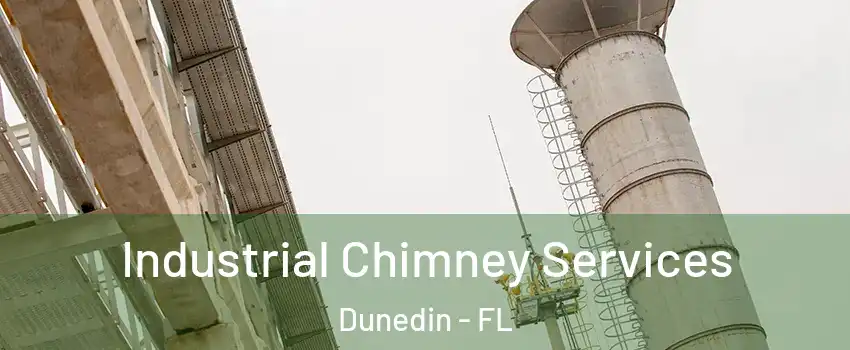  Industrial Chimney Services Dunedin - FL