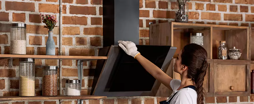 Chimney Installation in Dunedin, FL
