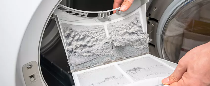 Best Dryer Lint Removal Company in Dunedin, Florida
