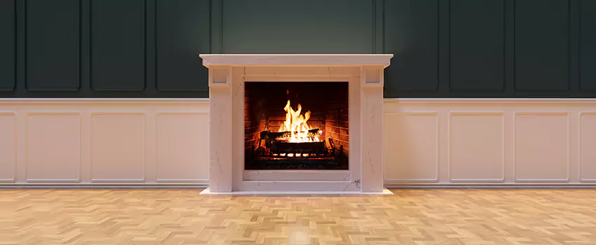 Napoleon Electric Fireplaces Inspection Service in Dunedin, Florida