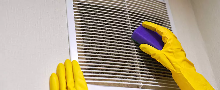Vent Cleaning Company in Dunedin, FL