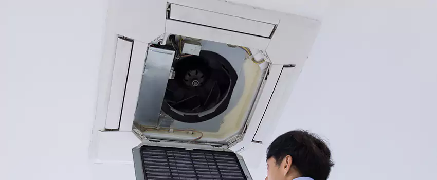 Benefits of Professional Air Duct Cleaning in Dunedin, Florida