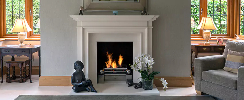 Astria Open-Hearth Wood Fireplaces Services in Dunedin, FL