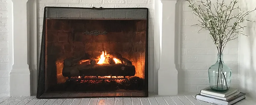 Cost-Effective Fireplace Mantel Inspection And Maintenance in Dunedin, FL