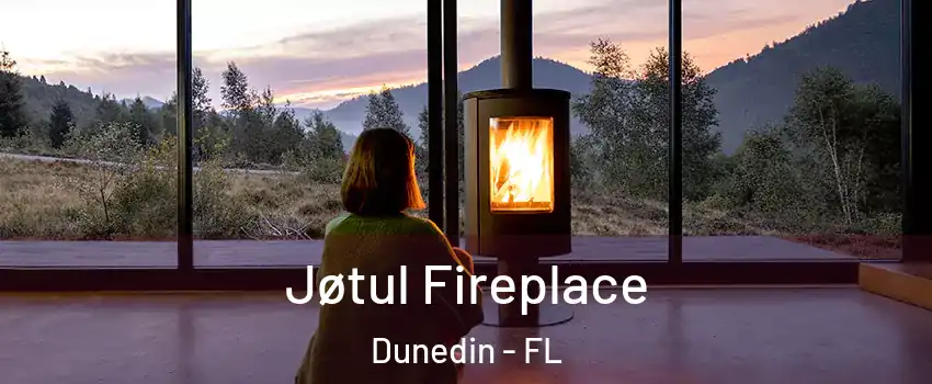  Jøtul Fireplace Dunedin - FL