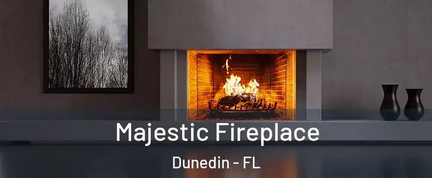  Majestic Fireplace Dunedin - FL