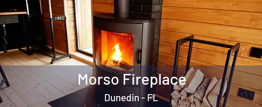  Morso Fireplace Dunedin - FL