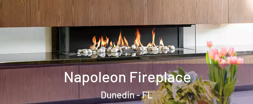  Napoleon Fireplace Dunedin - FL