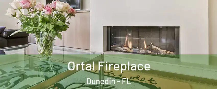 Ortal Fireplace Dunedin - FL