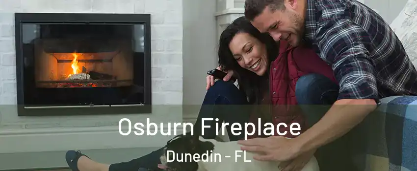  Osburn Fireplace Dunedin - FL
