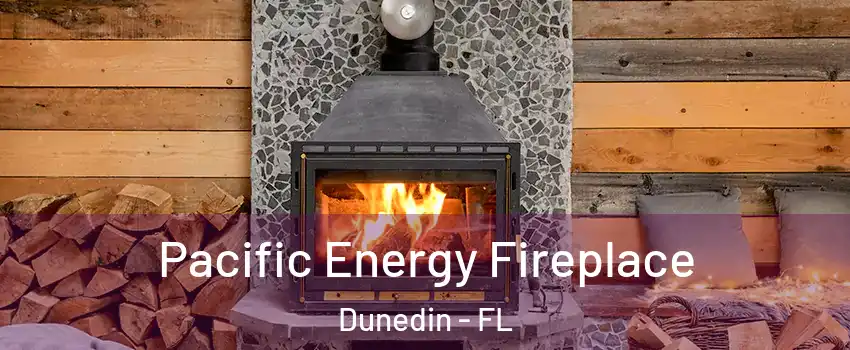  Pacific Energy Fireplace Dunedin - FL