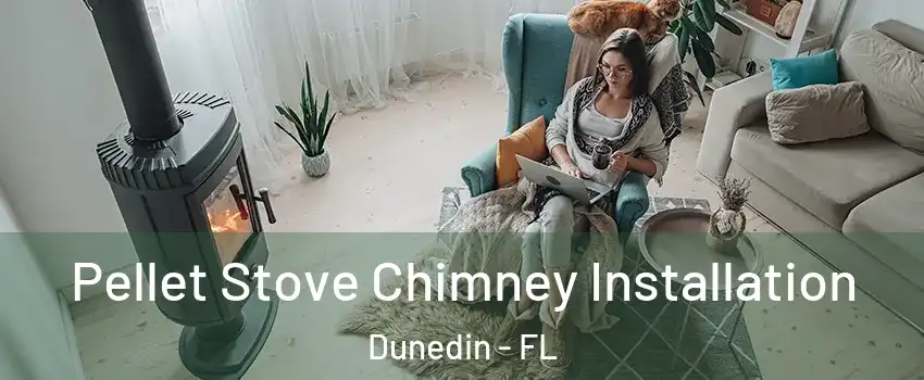  Pellet Stove Chimney Installation Dunedin - FL