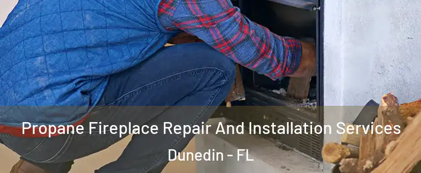  Propane Fireplace Repair And Installation Services Dunedin - FL