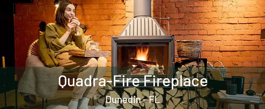  Quadra-Fire Fireplace Dunedin - FL
