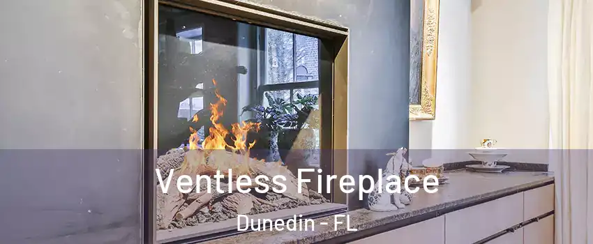  Ventless Fireplace Dunedin - FL