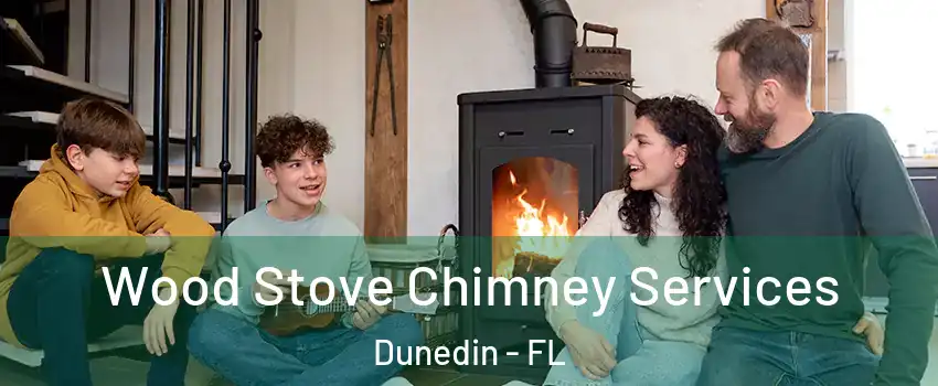  Wood Stove Chimney Services Dunedin - FL
